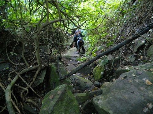 Liburan ke Gunung Parang
